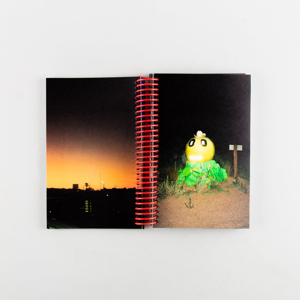 Desert Grill Dollar Tree Fossils Trap by Louise Mutrel - 3