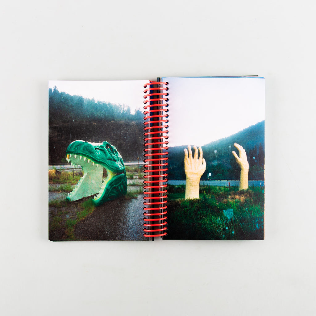 Desert Grill Dollar Tree Fossils Trap by Louise Mutrel - 10