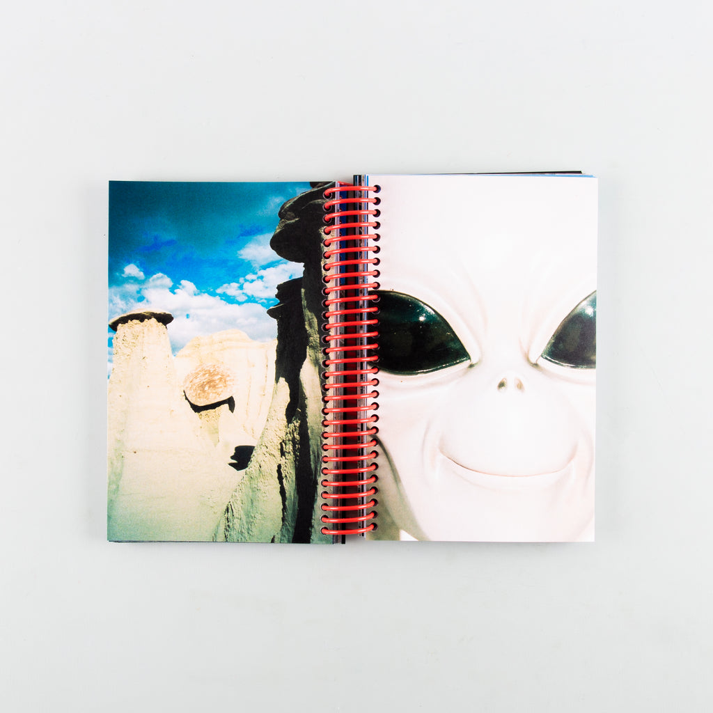 Desert Grill Dollar Tree Fossils Trap by Louise Mutrel - 5