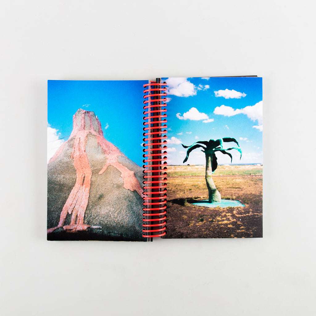 Desert Grill Dollar Tree Fossils Trap by Louise Mutrel - 8