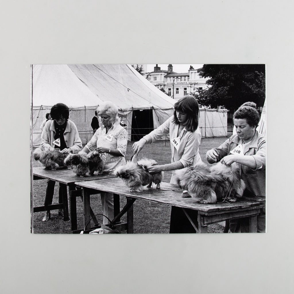 Dogs 1960s-1980s by Shirley Baker - Cover