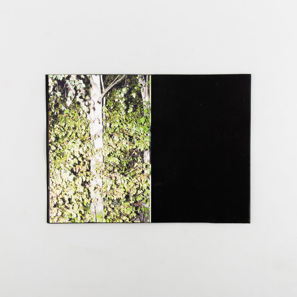 Down With The Sun. by Robert Cox - 6