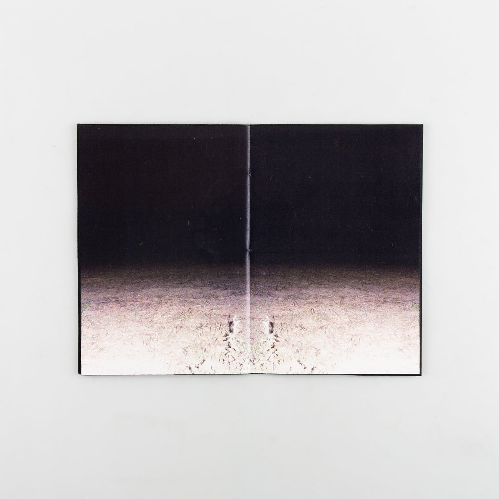 Down With The Sun. by Robert Cox - Cover