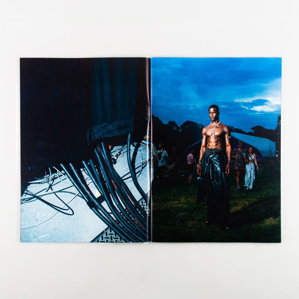 Electorama (Signed) by Nikita Teryoshin - 11