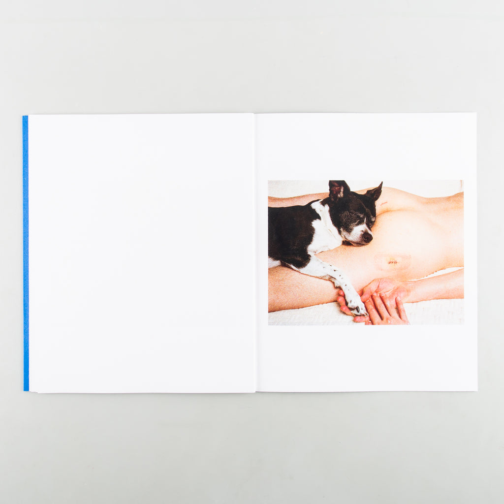 Fair Catch by Madison Carroll - 4