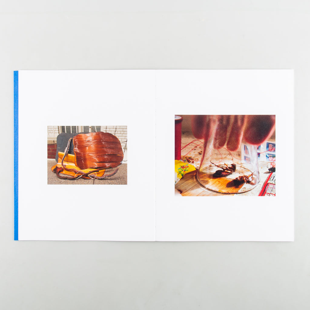 Fair Catch by Madison Carroll - 10