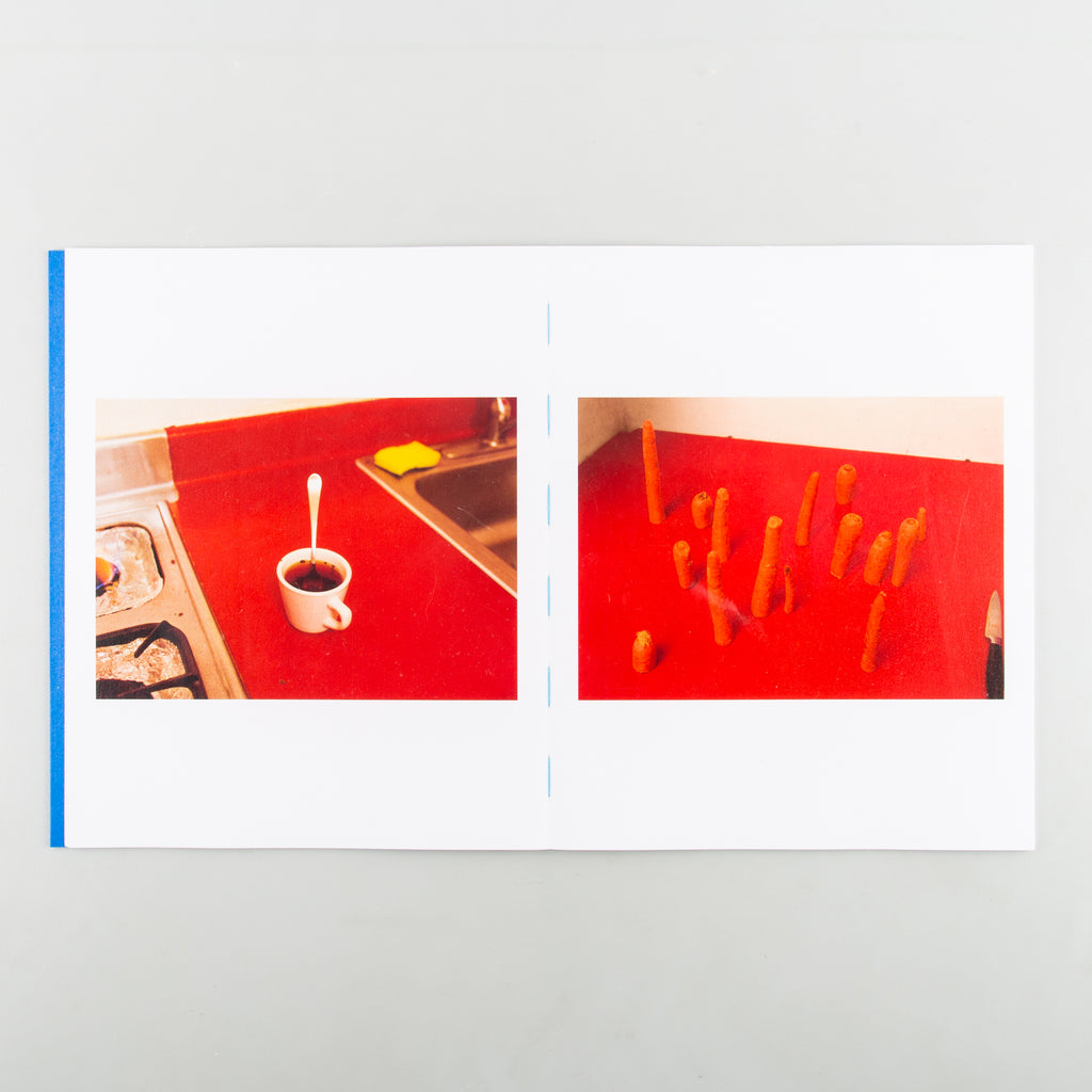 Fair Catch by Madison Carroll - 8