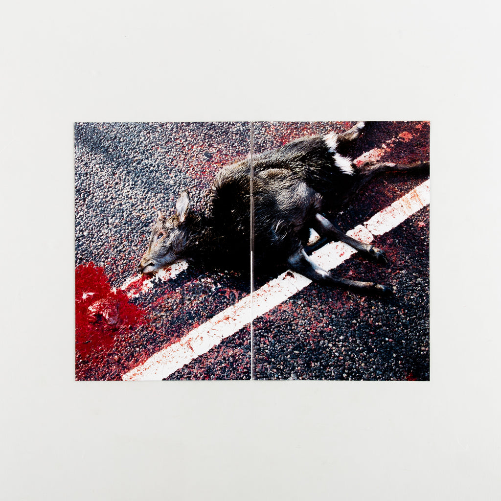 Black is the colour, none is the number. by Finlay Flint - 4