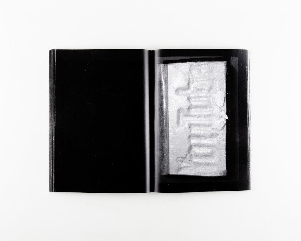 FISH SCALE by Sam Hutchinson - 9
