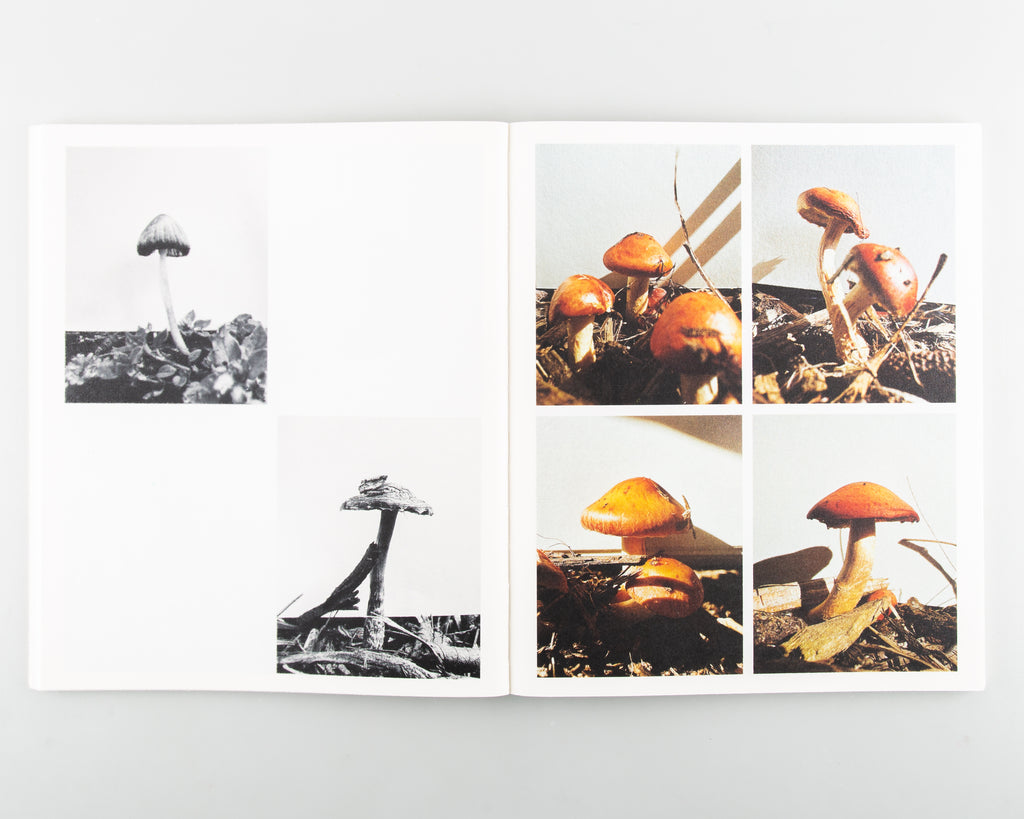 Fruiting Bodies by Ying Ang - 6