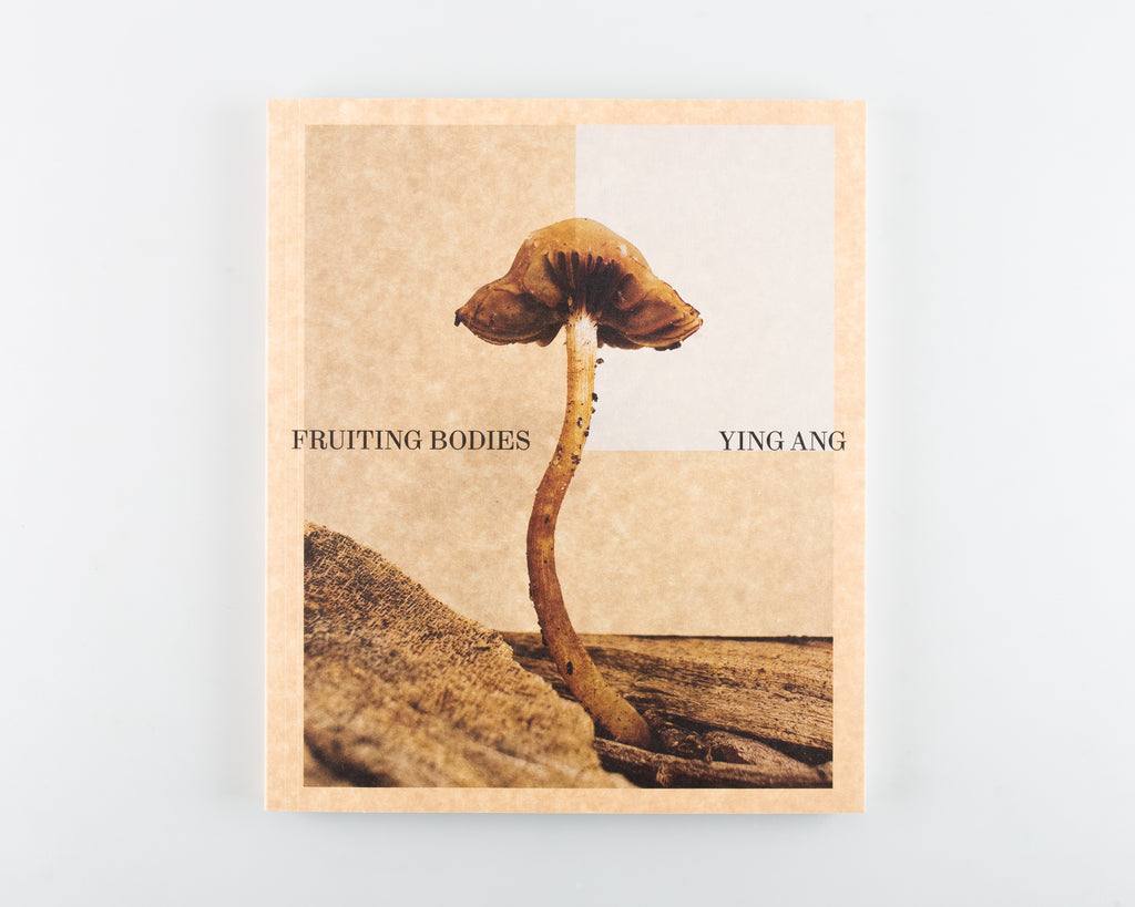 Fruiting Bodies by Ying Ang - Cover