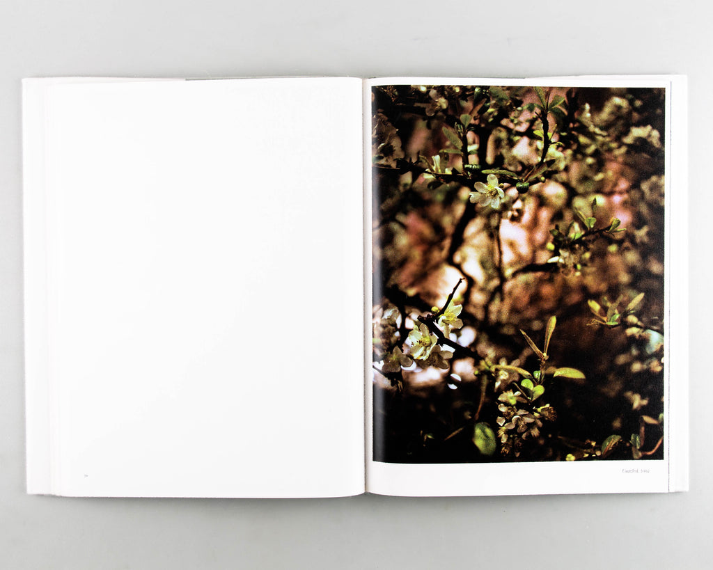 Gareth McConnell – A Photoworks Monograph by Gareth McConnell - 5