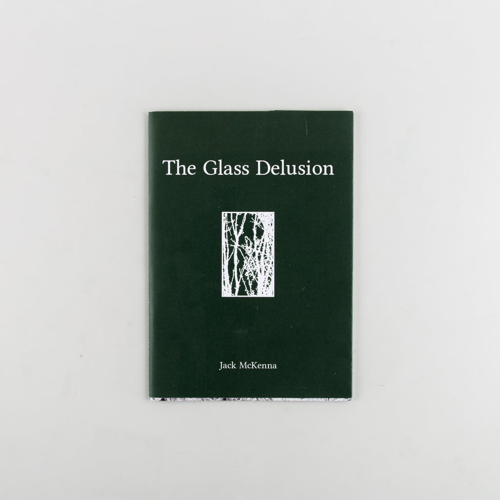 The Glass Delusion by Pigeon Laughter - 9