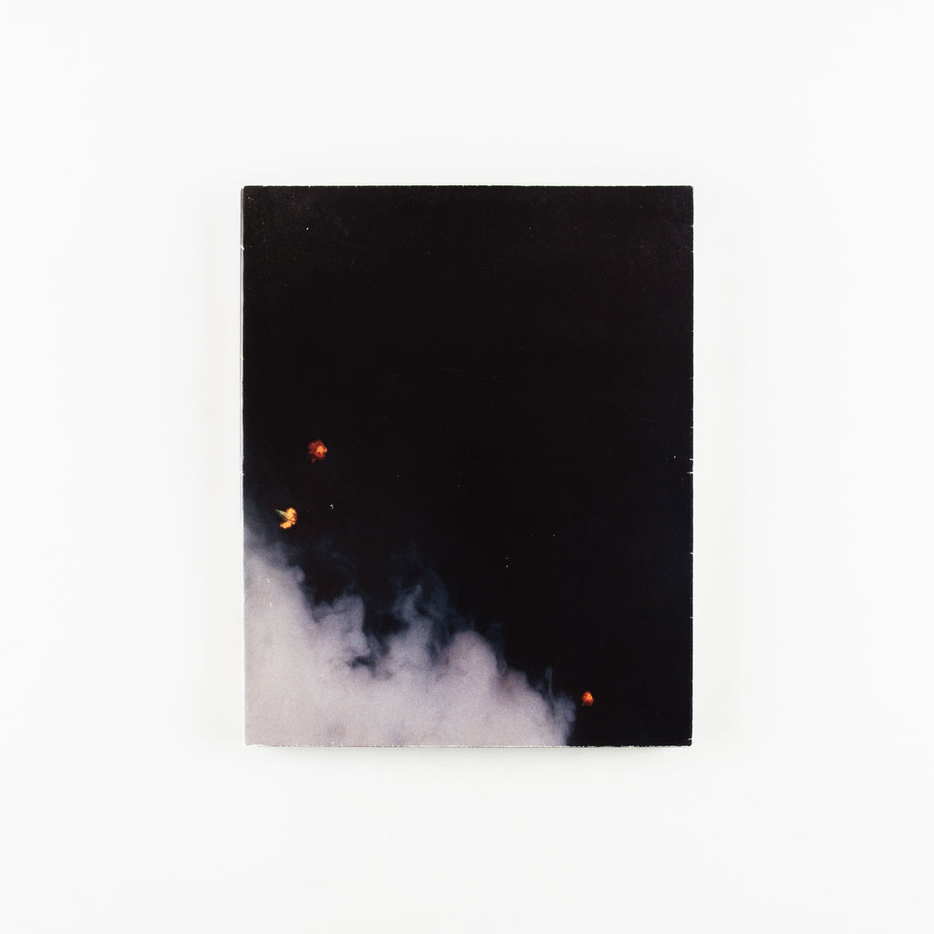 Narmada / Supriya Lele by Jamie Hawkesworth - Cover