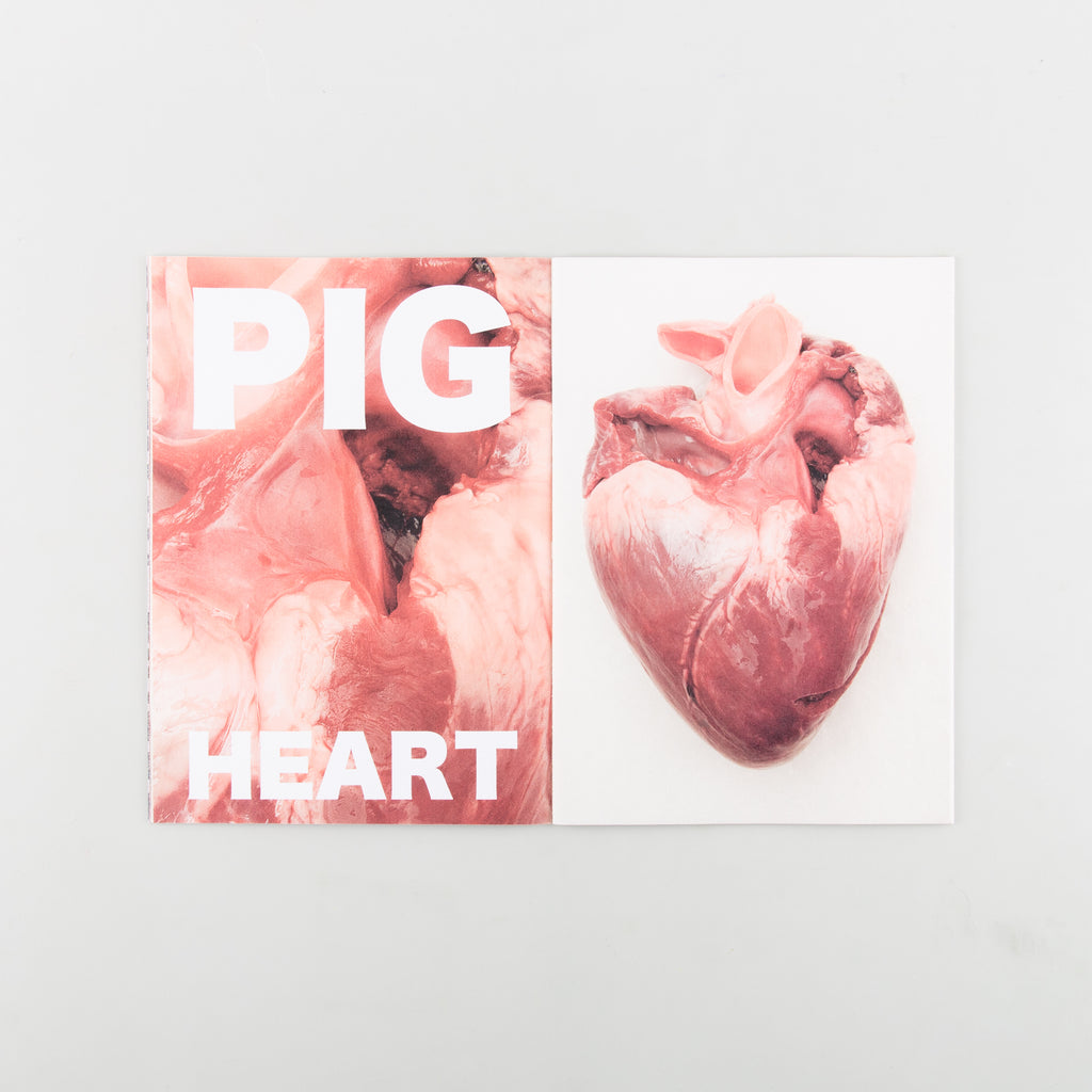 Offcuts: Heart by Sophie Hambling & Madeleine Sanders - Cover