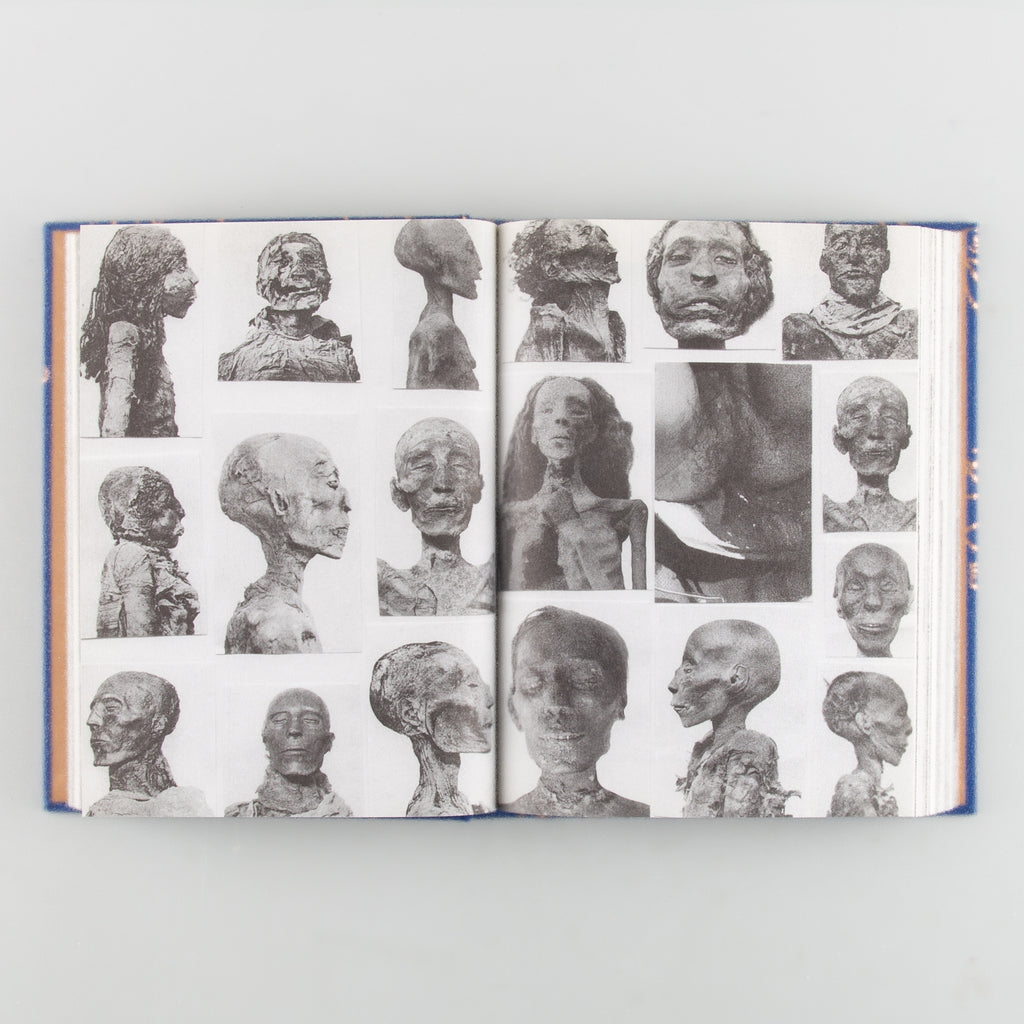 History Database by Luke Stettner - 5