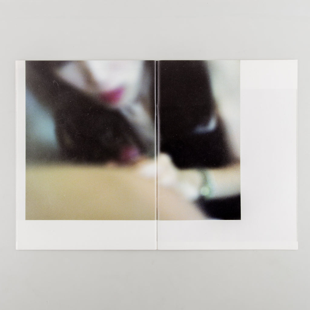 Landscapes: The Takashi Homma Purple Book by Takashi Homma - 5