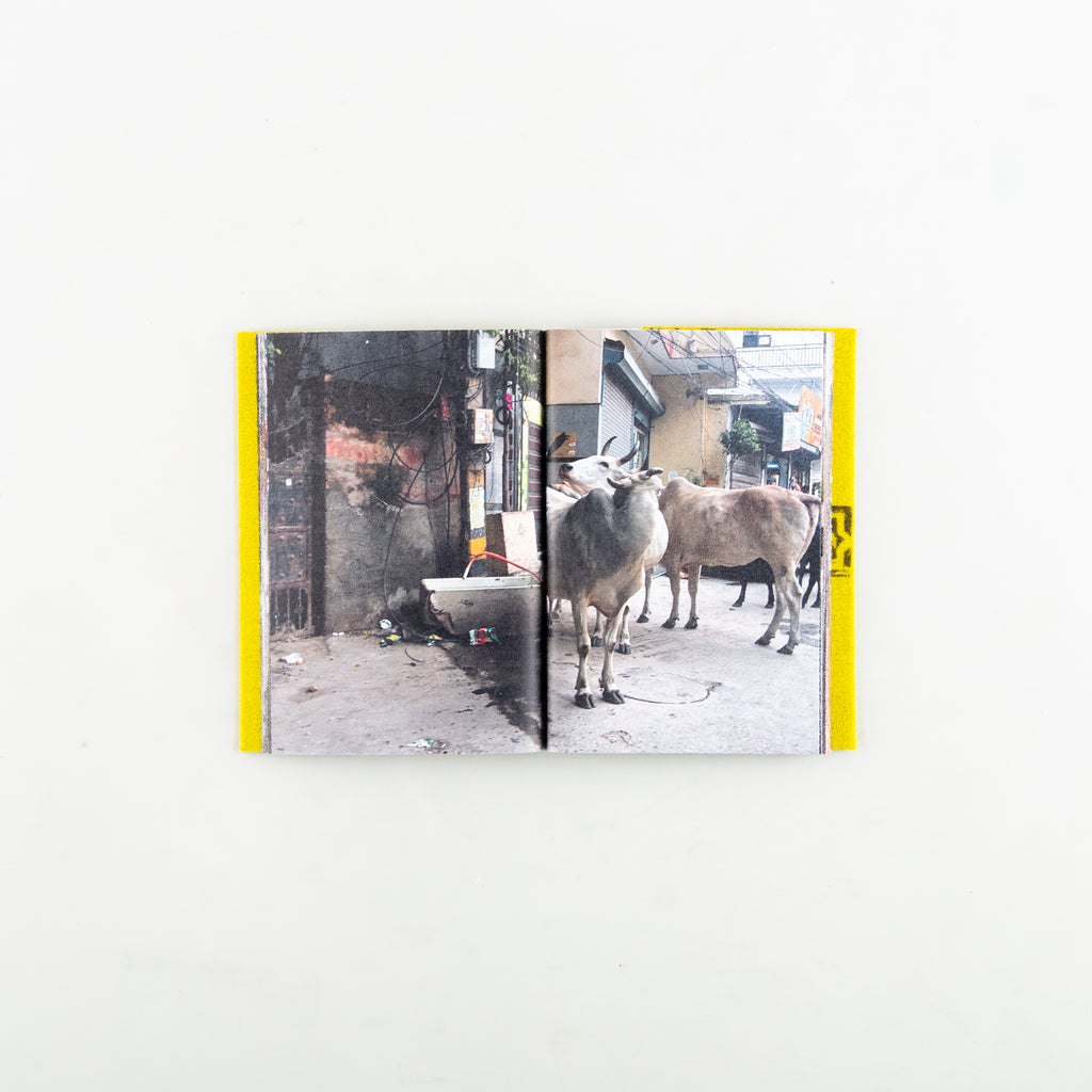 BLOW HORN by Noah Clayton - 6