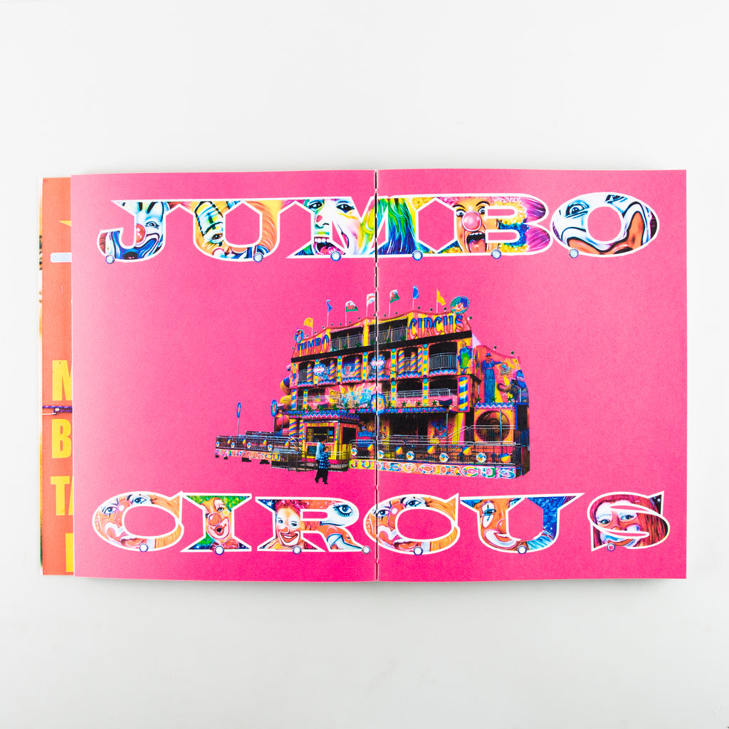 Hull Fair: Art On The Rides by Keaton & George Brignall McDougall - 7