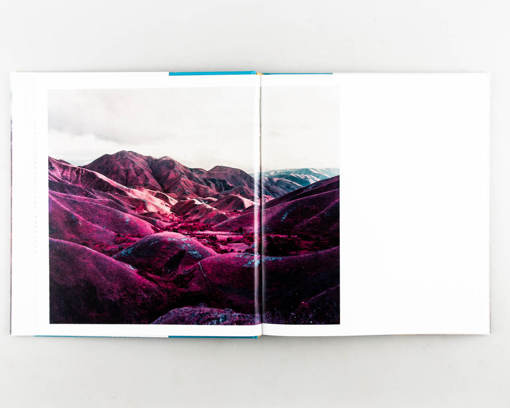 Infra by Richard Mosse - 8