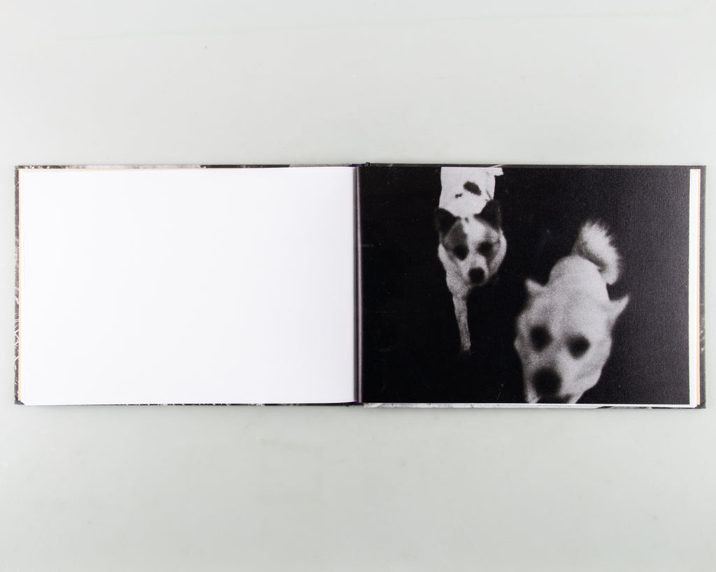 In the Flap of a Bird's Wing, Water Dries Up by Eriko Masaoka - 5