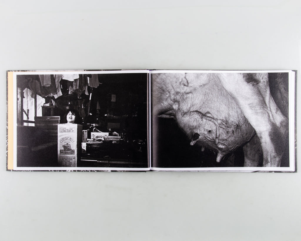 In the Flap of a Bird's Wing, Water Dries Up by Eriko Masaoka - Cover