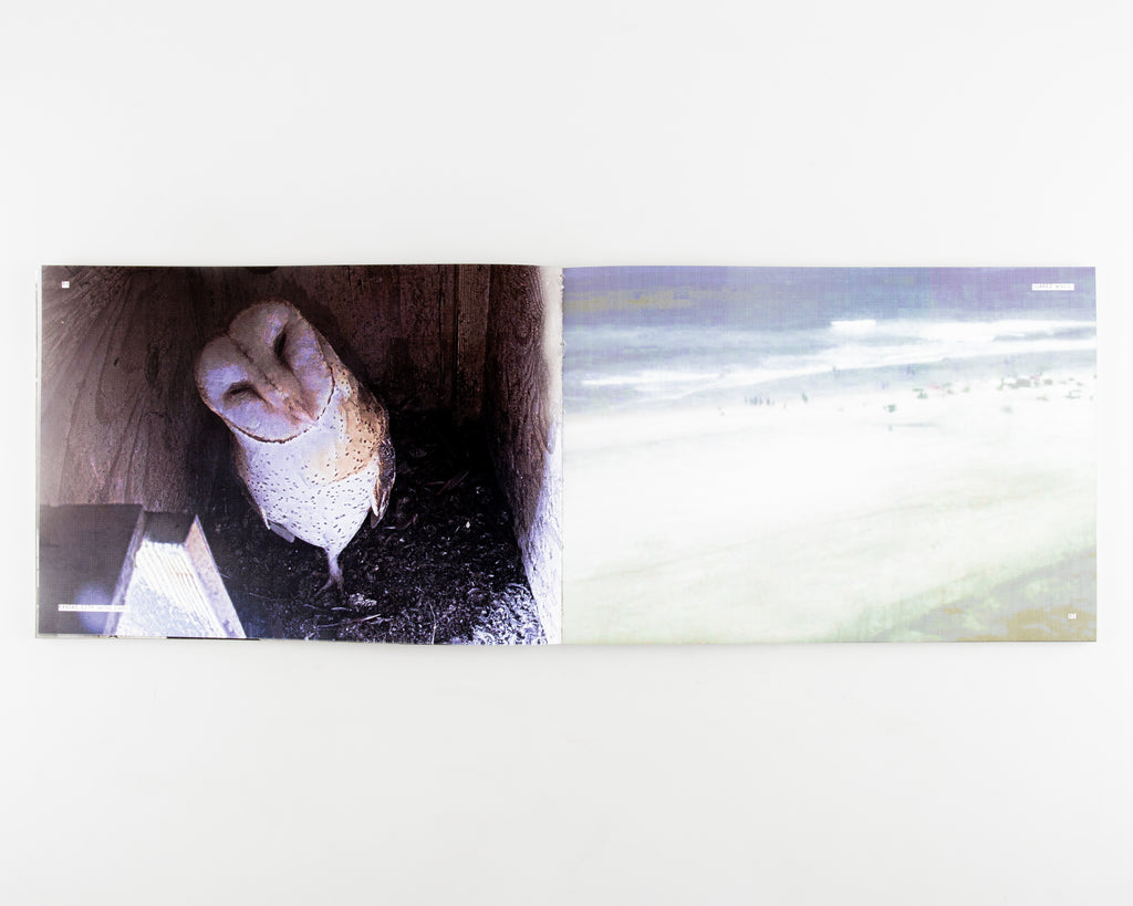 I'm In Your Walls by Elijah Montez Brown - 5