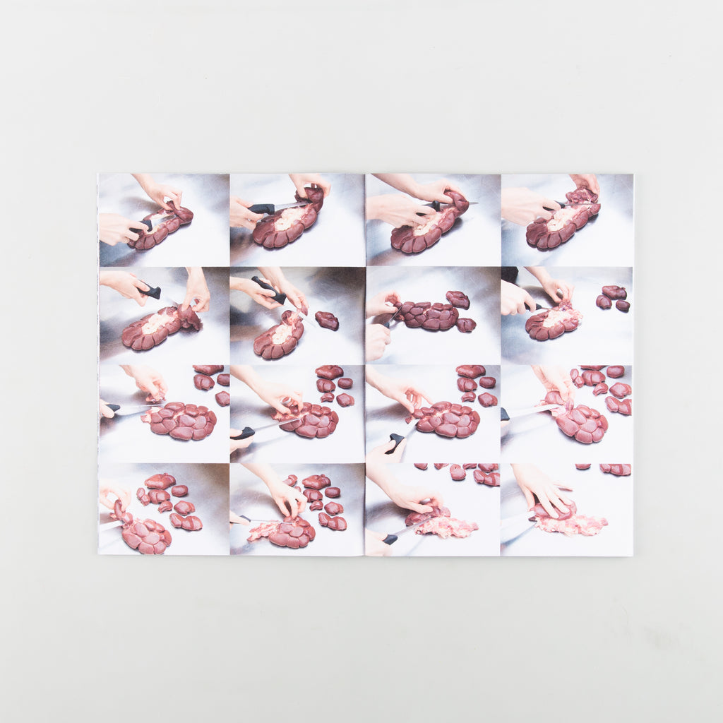 Offcuts: Kidney by Sophie Hambling & Madeleine Sanders - 4