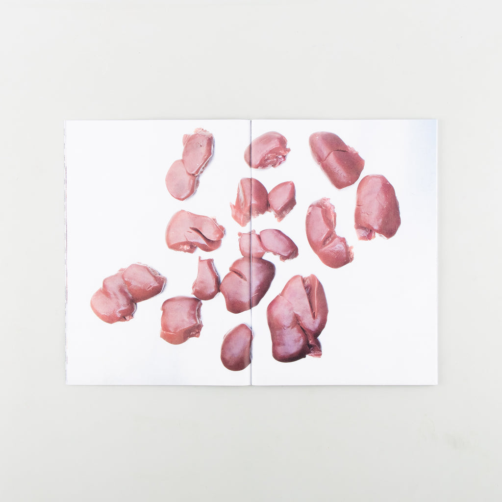 Offcuts: Kidney by Sophie Hambling & Madeleine Sanders - Cover