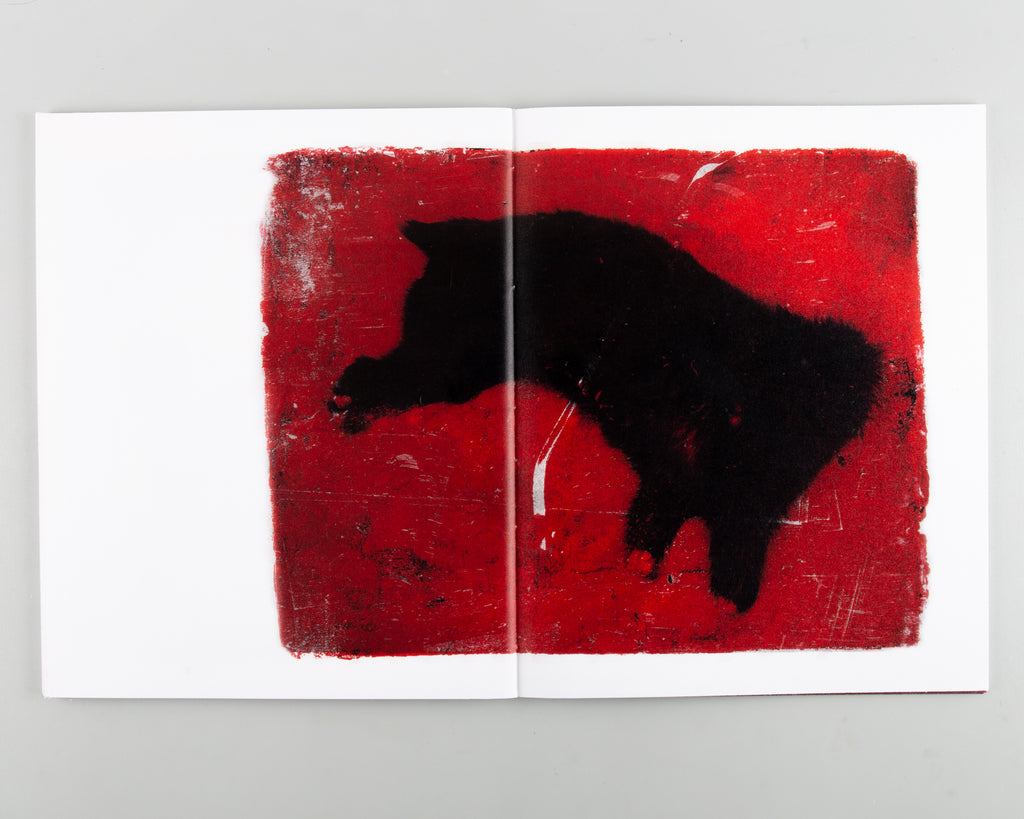 Kok Boru by Charlie Birch - 5