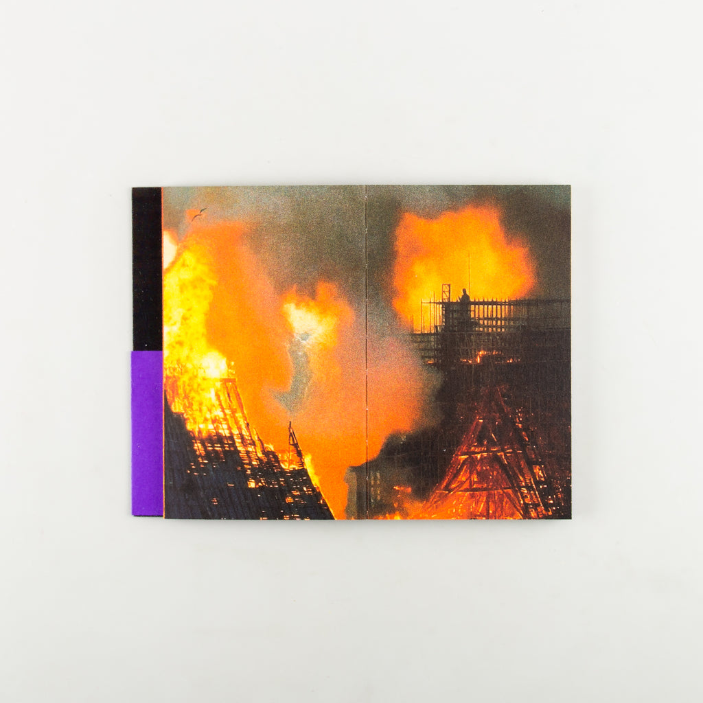 LES OISEAUX by Lola Raban & Jean-René Etienne - 5