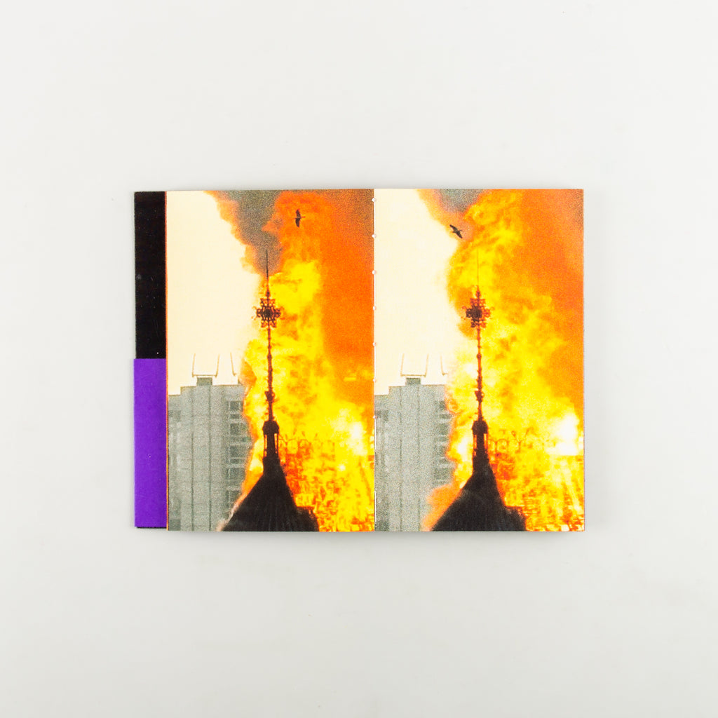 LES OISEAUX by Lola Raban & Jean-René Etienne - Cover