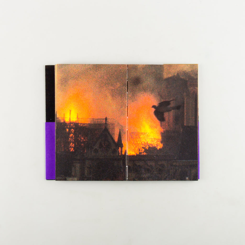 LES OISEAUX by Lola Raban & Jean-René Etienne - 3