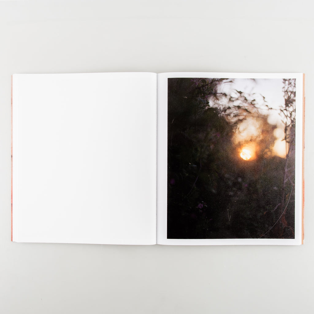 Made of Smokeless Fire by Camille Farrah Lenain - 6