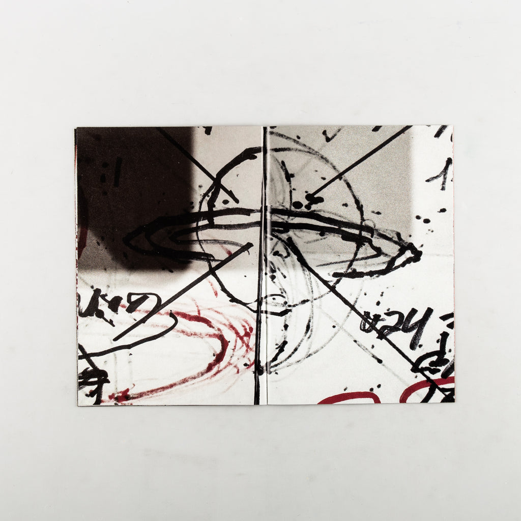 Paul McCarthy 2/12 by Paul McCarthy - 3