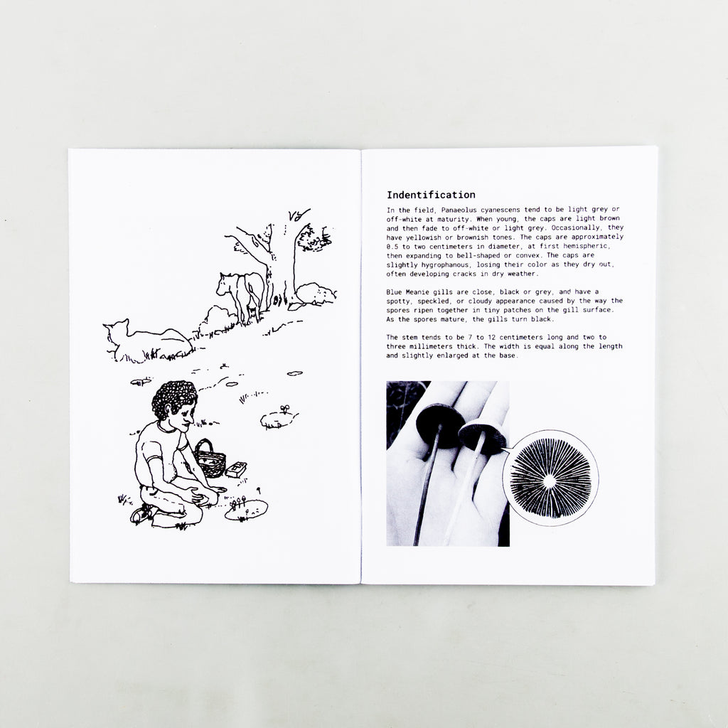 Blue Meanies: A Brief History of Magic Mushrooms in Bali - 6