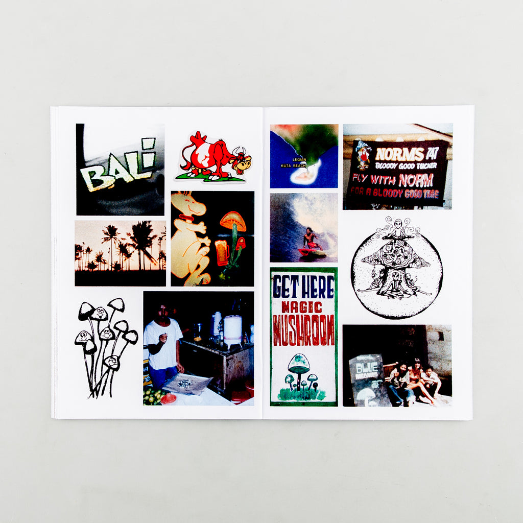 Blue Meanies: A Brief History of Magic Mushrooms in Bali - 4