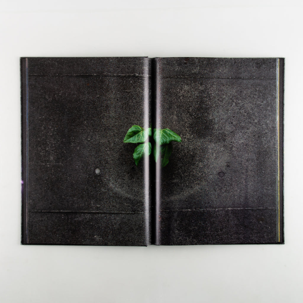 The Microcosm in Memory by Masaya Inoue - 6