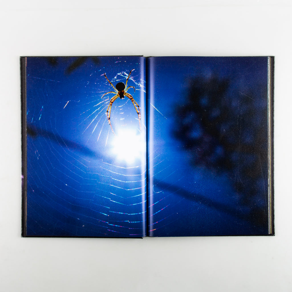 The Microcosm in Memory by Masaya Inoue - 3