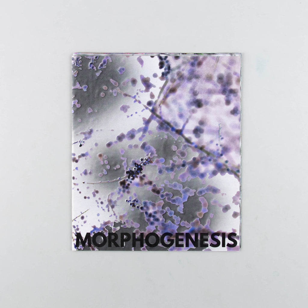 Morphogenesis 1 by Tyrone Williams & Eugenie Shinkle - 8