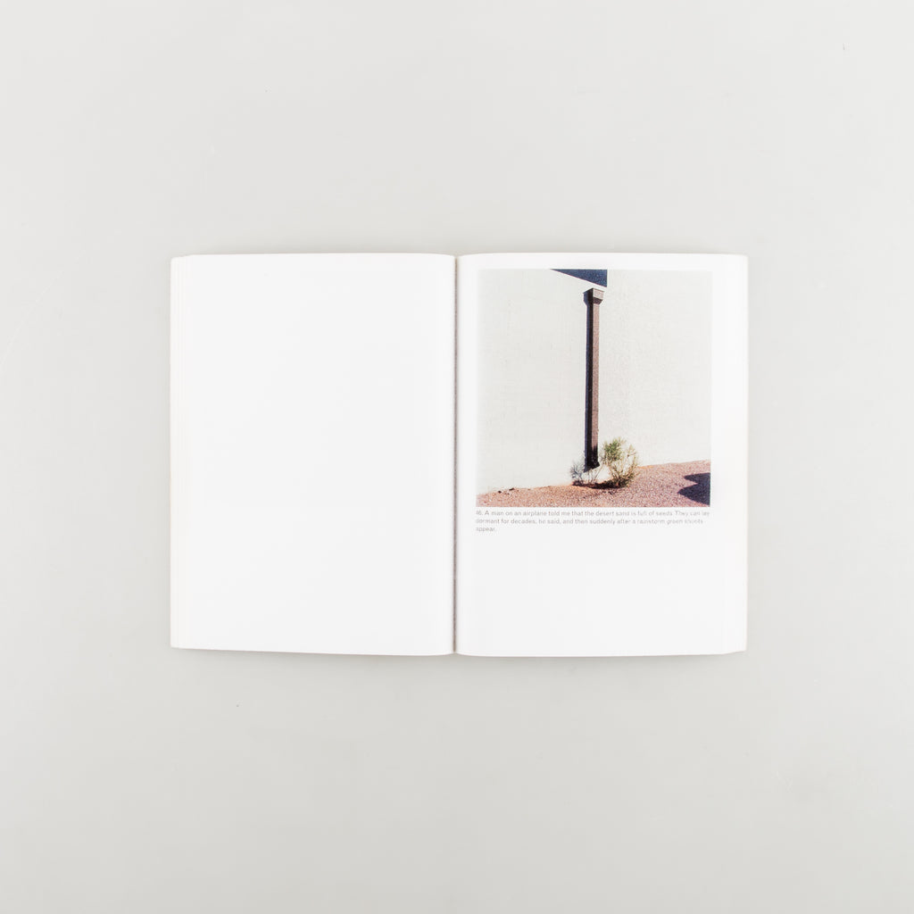 The Mushroom Collector by Jason Fulford - 5