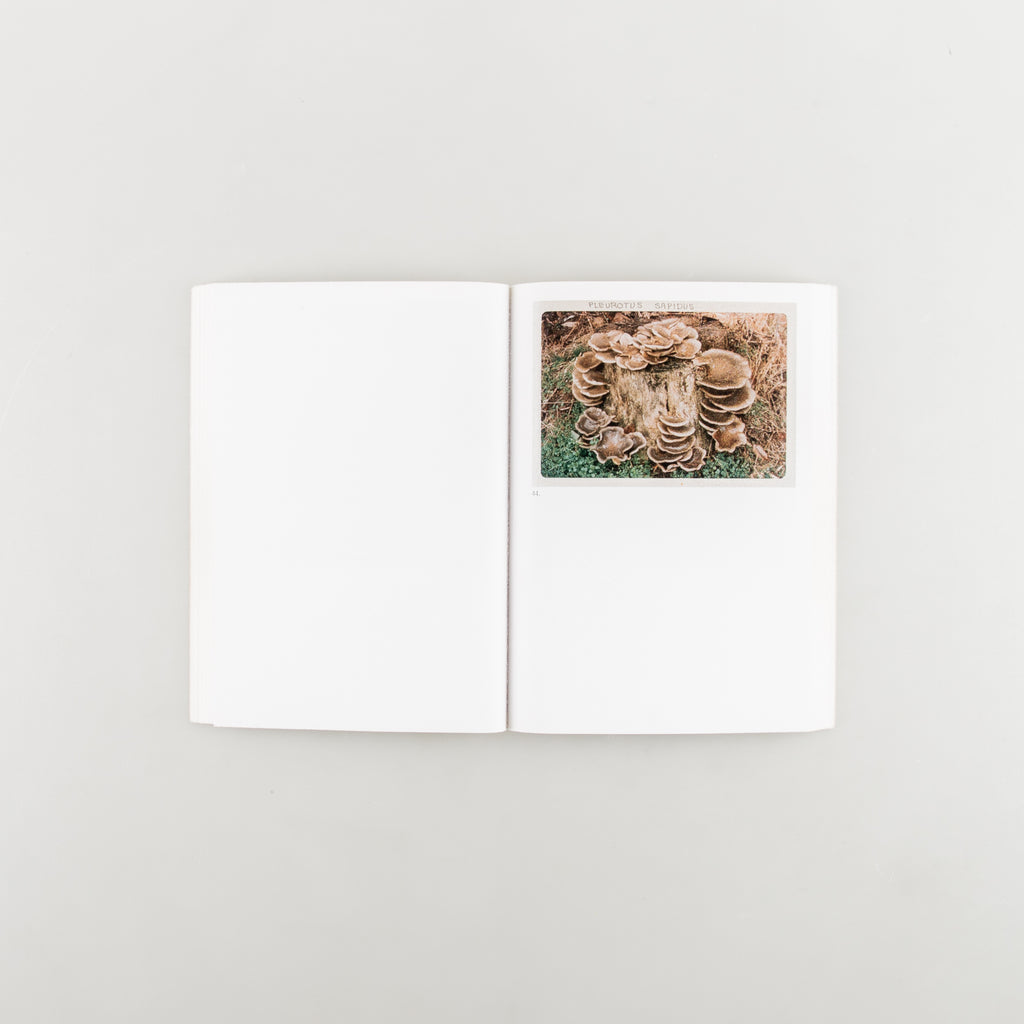 The Mushroom Collector by Jason Fulford - Cover