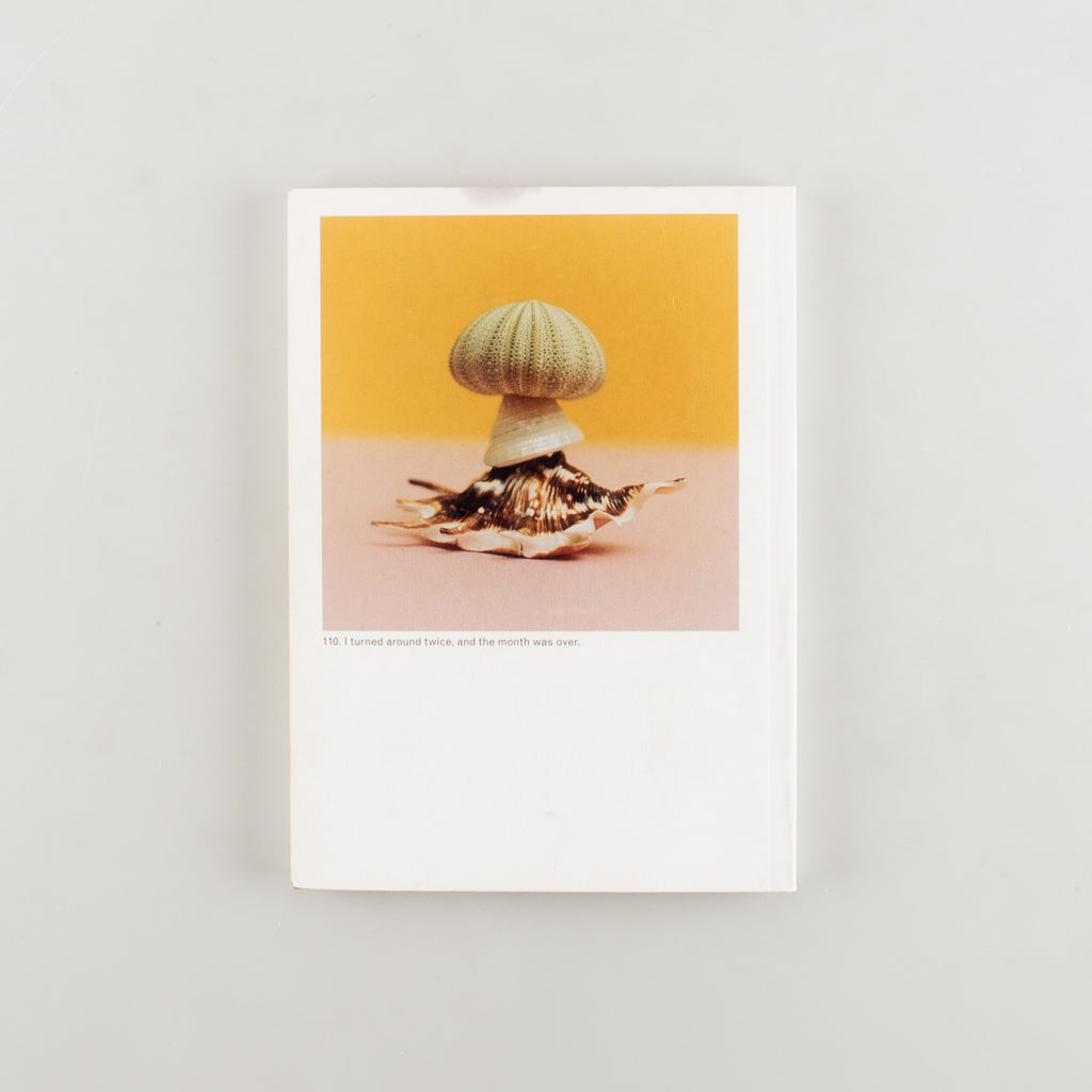 The Mushroom Collector by Jason Fulford - 7