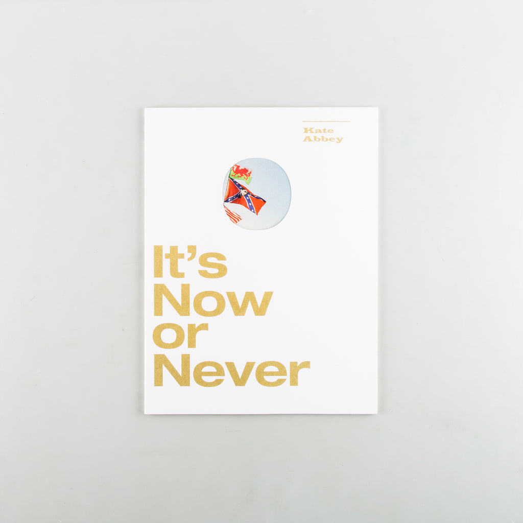 It's Now or Never by Kate Abbey - Cover