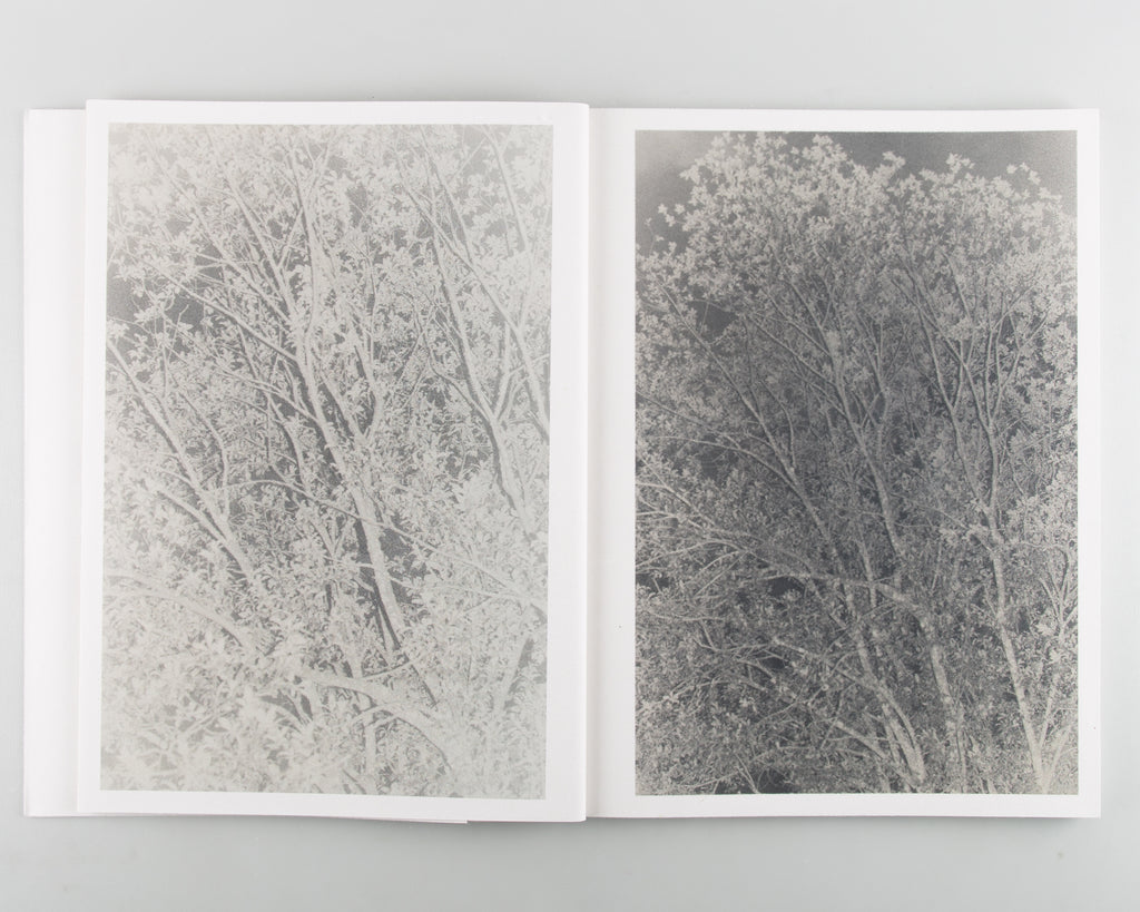 Stains & Ashes by Ola Rindal - Cover