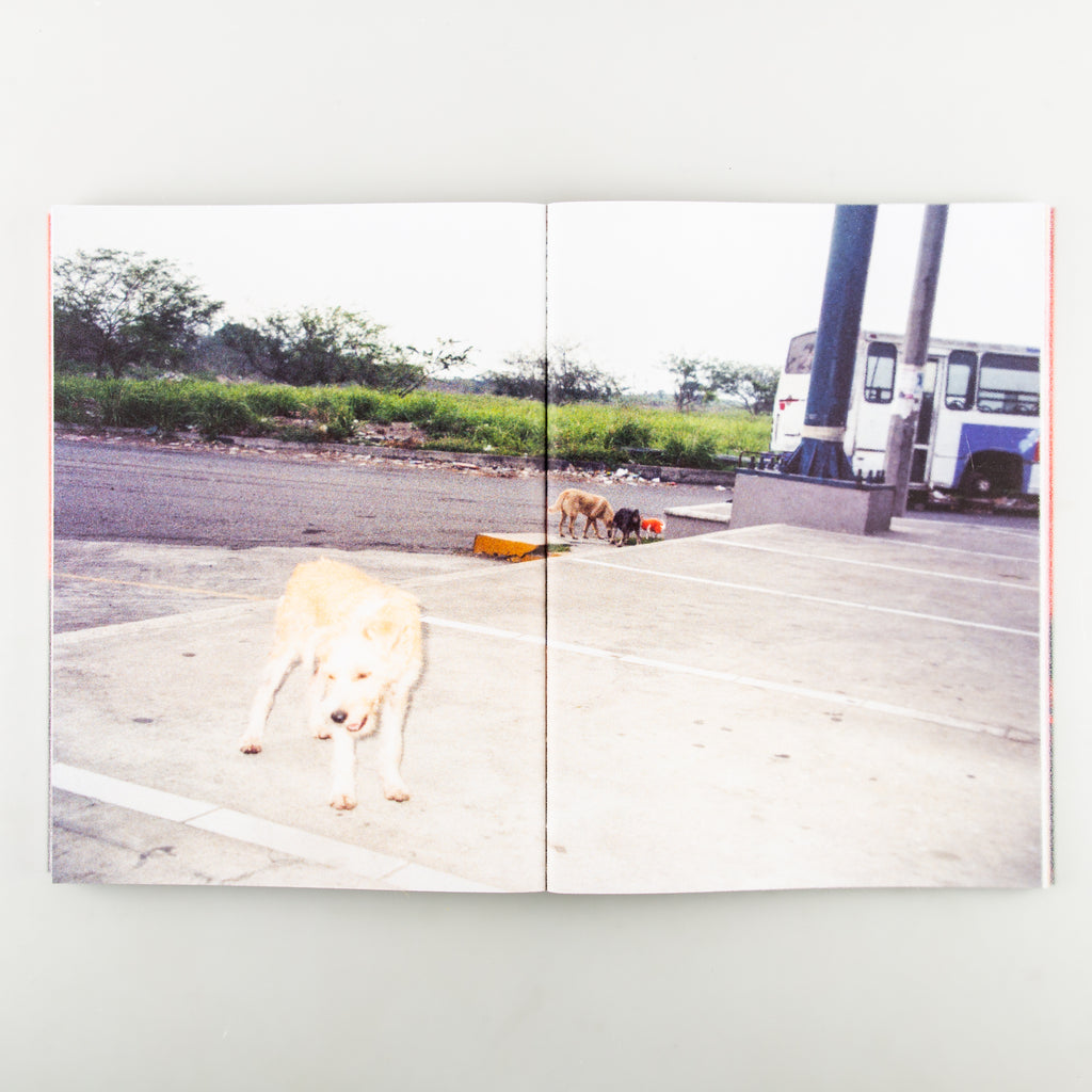 Only Have Faith by Adél Koleszár - 5