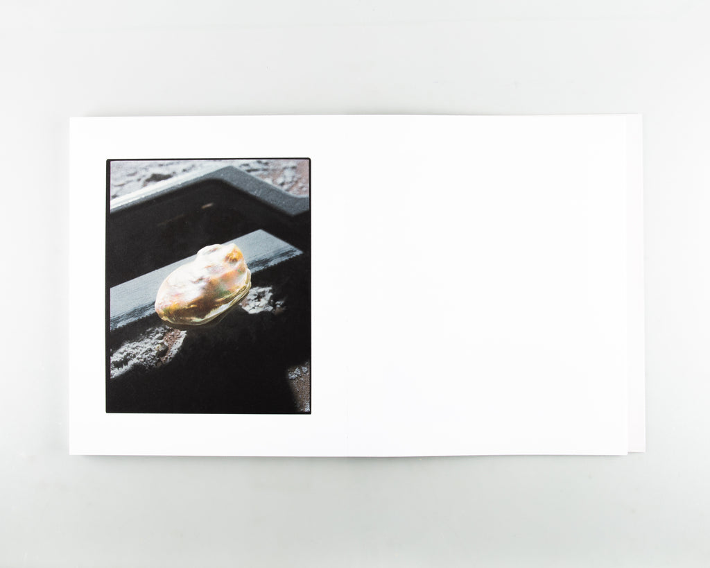 Anatomy of an Oyster by Rita Puig Serra Costa - 9