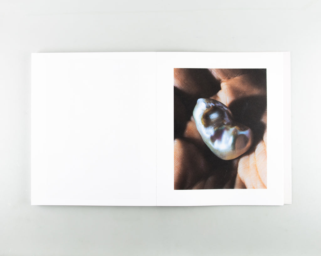 Anatomy of an Oyster by Rita Puig Serra Costa - 8