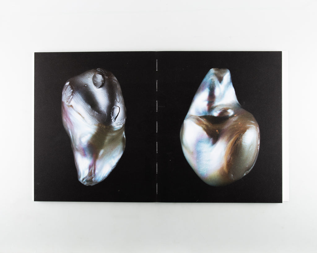 Anatomy of an Oyster by Rita Puig Serra Costa - 5