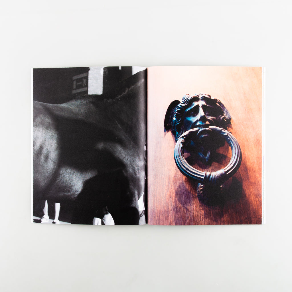 Pallium by Alexander Rotondo - 4